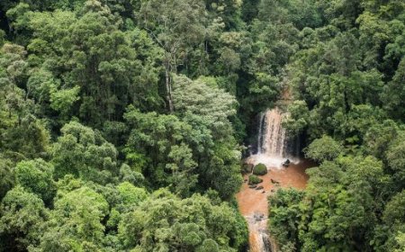 Green Building Innovations Offer Kenyan Private Sector Lucrative Path to Carbon Credits