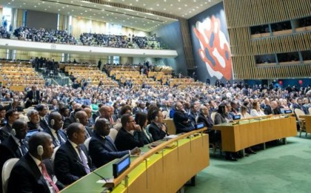 A Display of Wealth or a Missed Opportunity by African Leaders at the UN?
