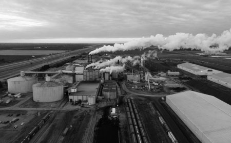 As the 79th United Nations General Assembly (UNGA) convenes, climate change and its profound impact on humanity and life on Earth is at the forefront.