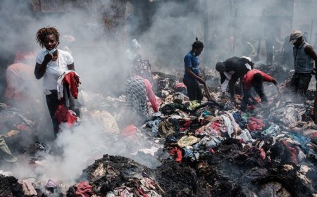 Clothing Financial and Environmental Crimes