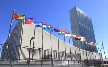 IS THE UNITED NATIONS TOO OLD REMOTE, ISOLATED AND OUT OF TOUCH WITH THE REALITY OF OUR WORLD?
