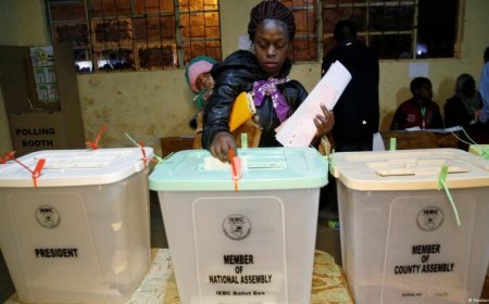 How to end voter apathy and increase the power of voting.