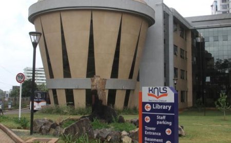 Libraries are the Best Registries