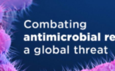 Car jackers forced to flee after causing an accident at Kahawa Wendani.