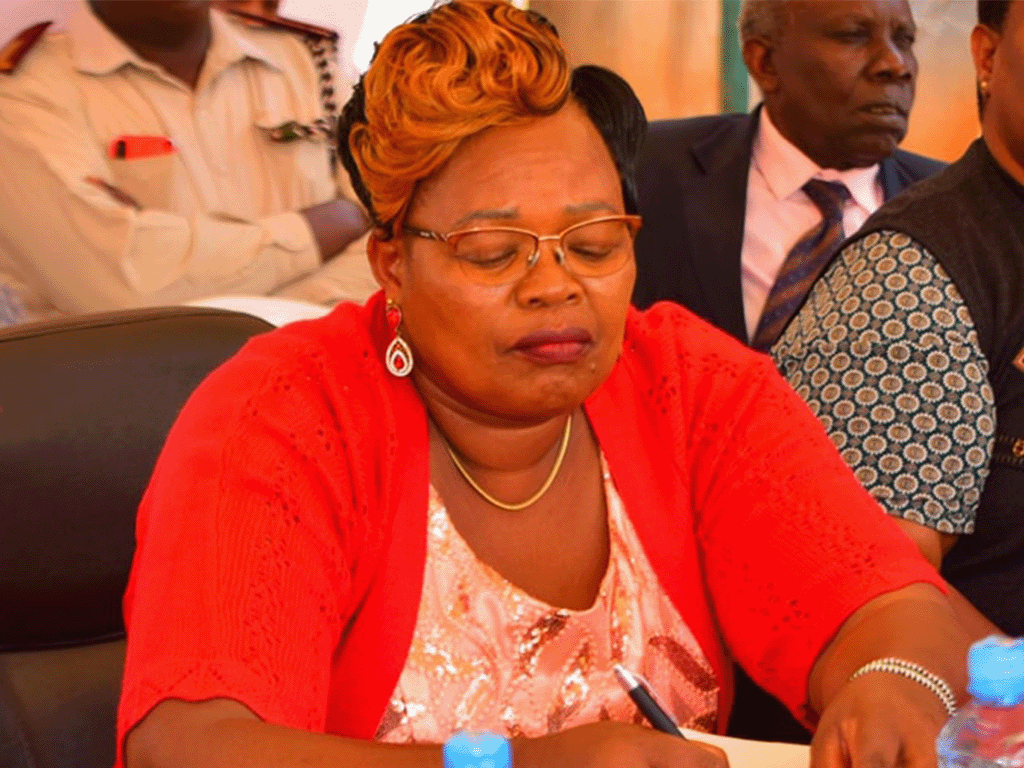 Mary Njoroge Wamaua, Maragua Constituency Member of Parliament Biography