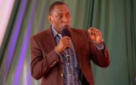 Wahome wa Matinga, Nyeri County Senator Biography