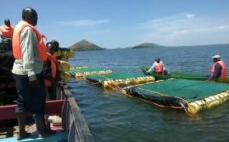 Homabay Fishermen Arrested by Uganda Police