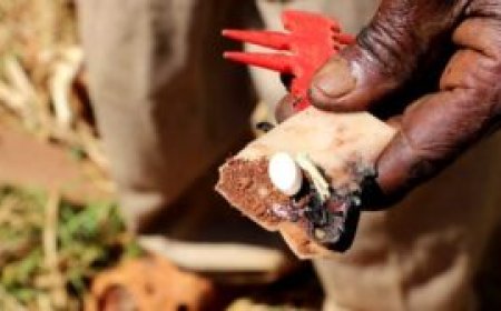 Gatundu Cries For Help After Being Tormented by Evil Spirits