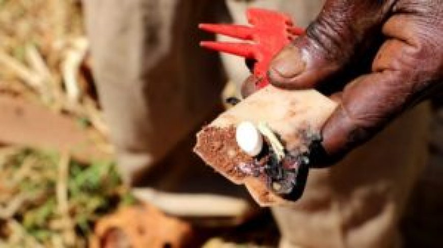 Gatundu Cries For Help After Being Tormented by Evil Spirits