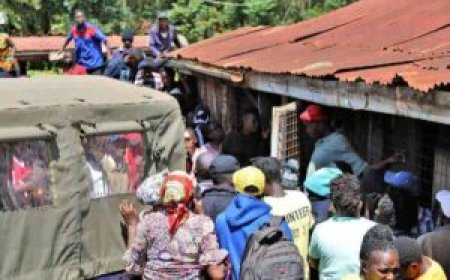 Teacher Kills Self After Making Concrete Coffin