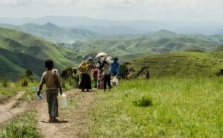 Two Dead, Six Injured in a Grenade Explosion.