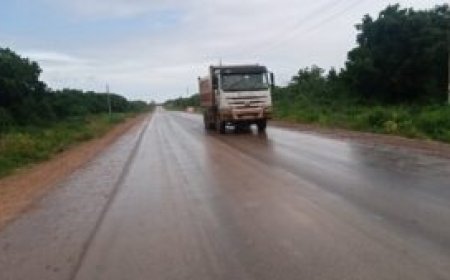 Two Italians Rescued By GSU