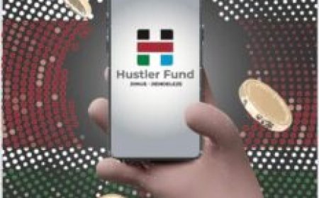 How to Apply For Hustler Fund?