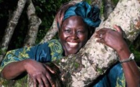 The Story of the Hummingbird by Wangari Mathai