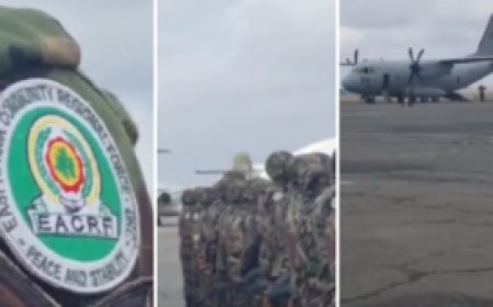 Kenya Defence Forces First Batch Leaves For the Democratic Republic of Congo.