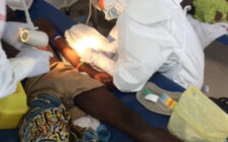 What You Need to Know About Ebola Virus Disease