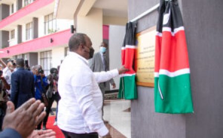 Uhuru Flagship Project Offers Reprieve To Cancer Patients Seeking Treatment Abroad.