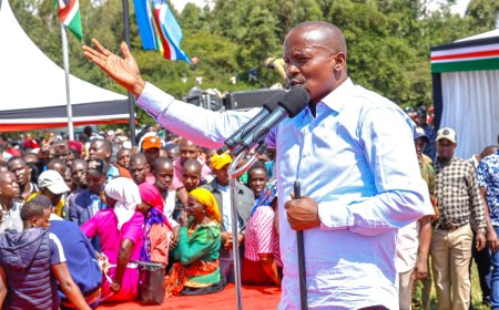 Professor Kithure Kindiki's Ascent to Deputy President: A Tale of Ambition, Sacrifice, and Political Turmoil