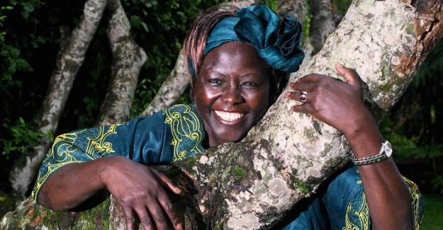 Wangari Mathai