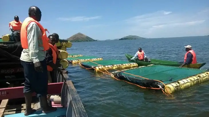Homabay Fishermen Arrested
