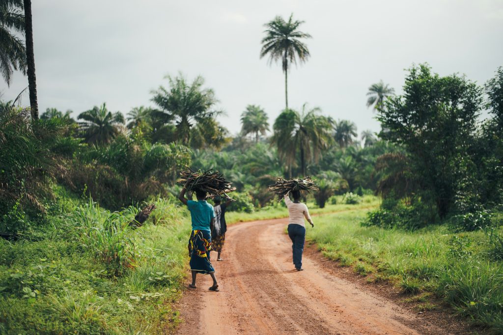 Women fetching firewood